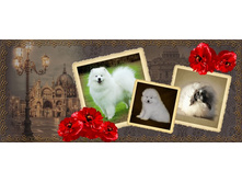 ����� ��� �����