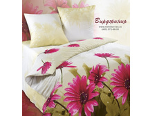 ���������(172)