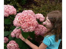 ����. ���� ���� �������� �1,5 555�