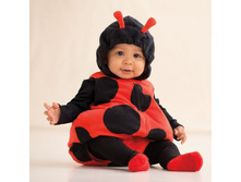 ����:	1 221	���.