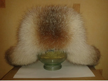 ������ ���� �������� ���� (����)