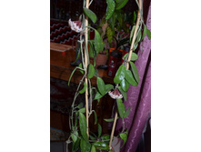 ���� �����3�