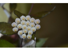 ������3�