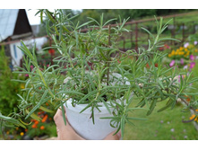 ��3�����