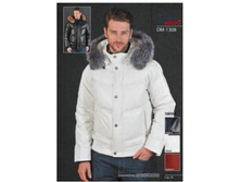 ������ ������� ����� DM-1308.JPG