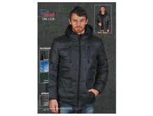 ������ ������� ����� DM-1329a.JPG