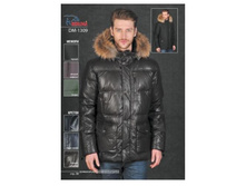 ���������� ������ DM-1309a.JPG