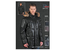 ���������� ������ DM-1313a.JPG