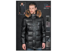 ���������� ����������� ������ DM-1312a.JPG