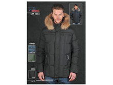 ����������� ������ DM-1303b.JPG