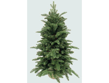 ��� ������������� ��������� 90 ��. � �������. 73635_1996 ���