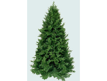 ��� ������������� ������� 155 ��. 73639_6634 ���