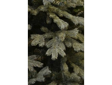 ��� ������������� ������� �������..jpg