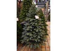 ��� ������������� ������� �������.jpg