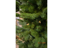 ��� ������������� �������.jpg