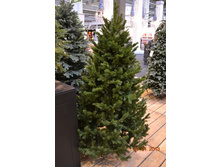 ��� ������������� �������1.jpg