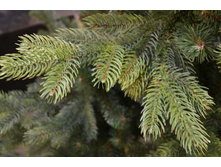 ��� ������������� ������ �������1.jpg