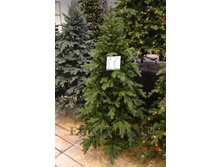 ������������� ���� ����� �������������.jpg