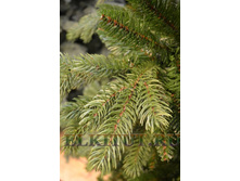 ������������� ���� ����� �������������1.jpg