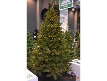 ������������� ���� ����� ����������.jpg