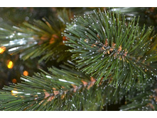 ������������� ���� ����� ����������1.jpg