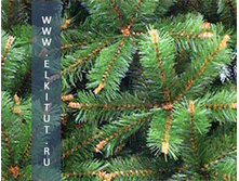 ����� ����������.jpg