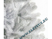 ���� ����� ����������.jpg