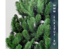 ��� ��������� (Virginia).jpg