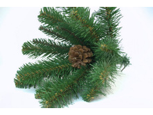 ��� ����������� � �������.jpg