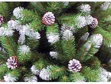 ��� ������������� ����������� �����������1.jpg