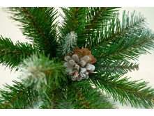 ��� ������������� ����������� �����������2.jpg