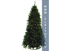 ��� ������� ������������� � ���������� ��������� ����������� ������� 260 ��. ���. 388139_31980 ���