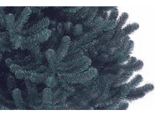 ����� ��������� �������.PNG