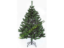 ����� ����������� (Special Holiday).jpg