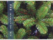 ����� �����-���������.jpg