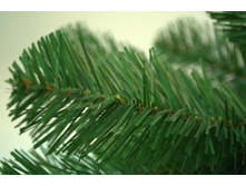 ��� ������������.jpg