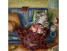 ����-�����