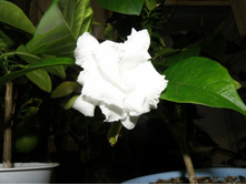 ��������������