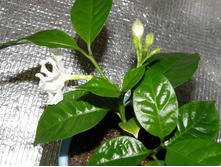 ��������������