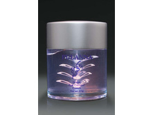 ���� ��� ������� ����, 21 �