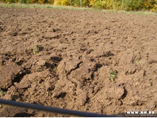 ��� �� ������ ���� �������� �����