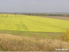 ������. ��� �������� ������ �� ������� �������