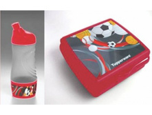 ���� ���� ������