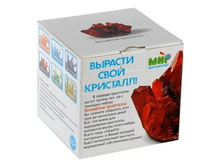 004 ����*����� ������*���