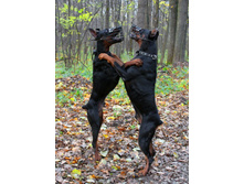 ��� ���� 055.jpg