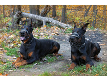 ��� ���� 002.jpg