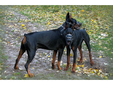 ��� ���� 014.jpg