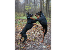 ��� ���� 051.jpg