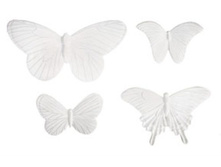 ����� ��������� ��������� Beautiful Butterfles_225�.jpg