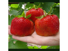 ��������� ���� ������ (6��) - 117�..jpg